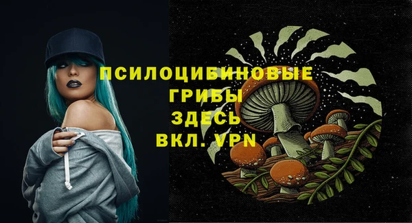 дживик Михайлов