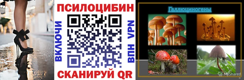 закладки  Чёрмоз  Псилоцибиновые грибы мухоморы 
